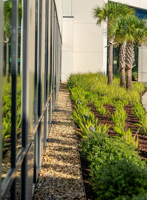 Sun State Landscaping Baptist Clay