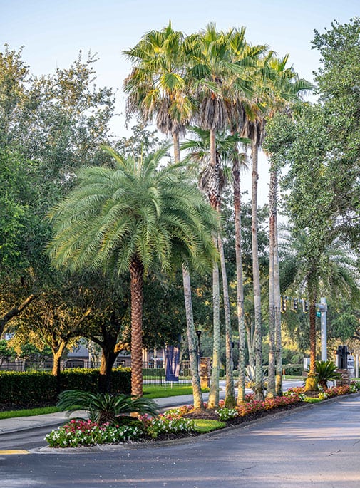 Sun State Landscaping Commerical Property