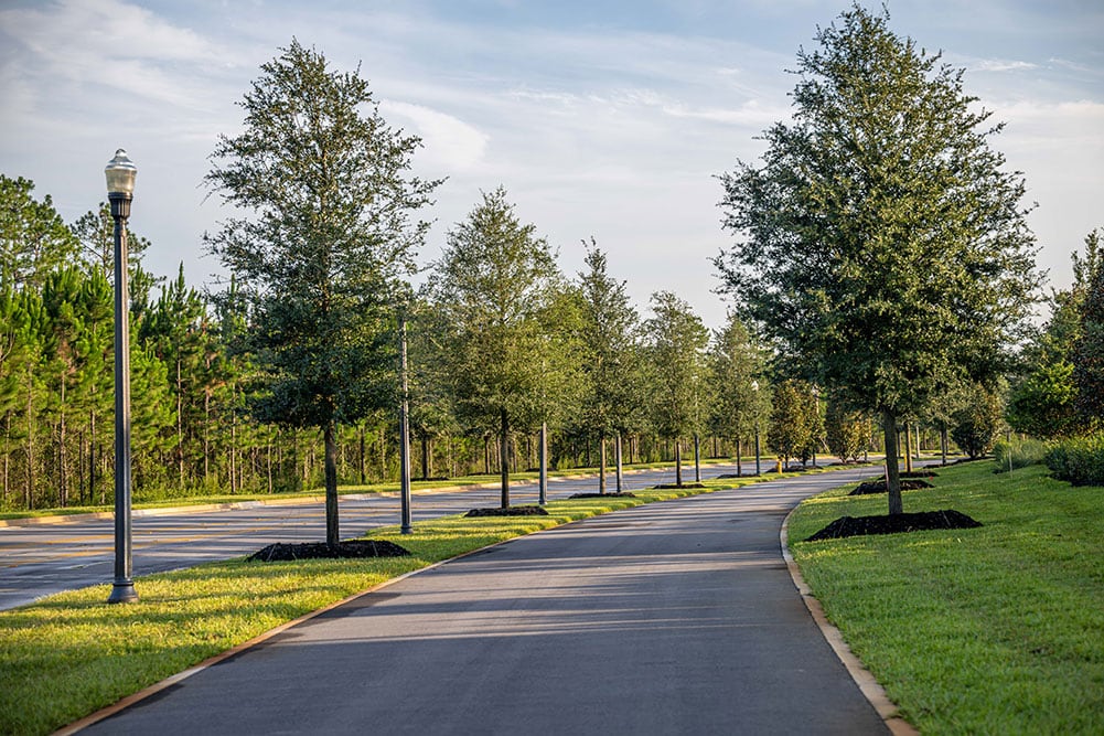 Sun State Landscaping everRange