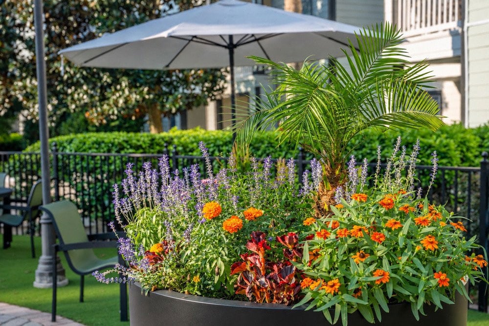 Sun State Landscaping Multifamily Vinoy