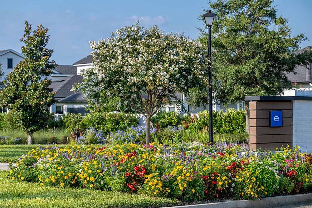 Sun State Landscaping Seasonal Commercial