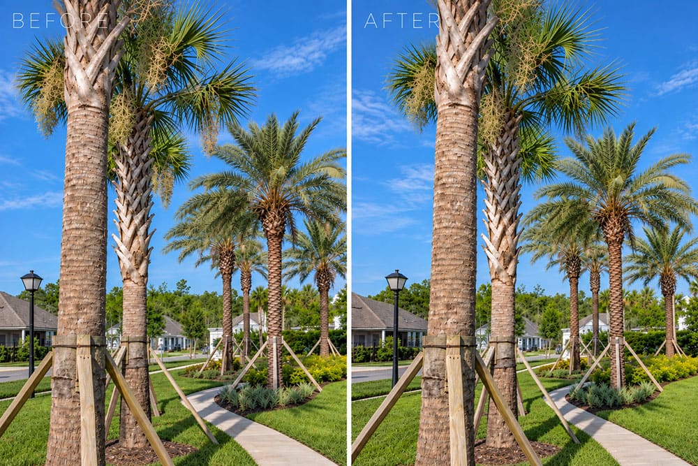 Sun State Maintenance Arbor Care #2