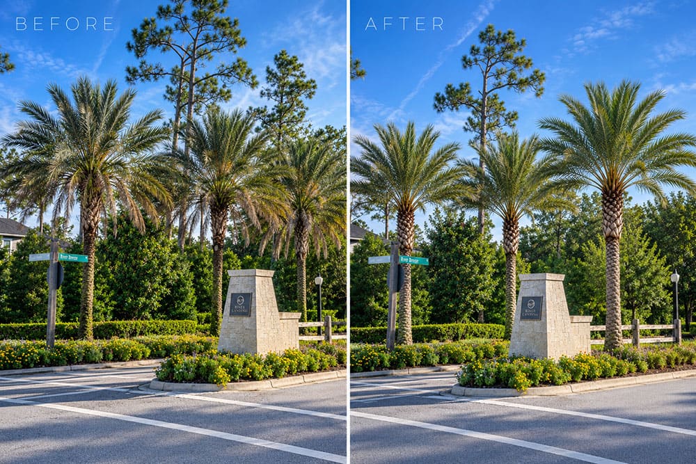 Sun State Maintenance Arbor Care #4