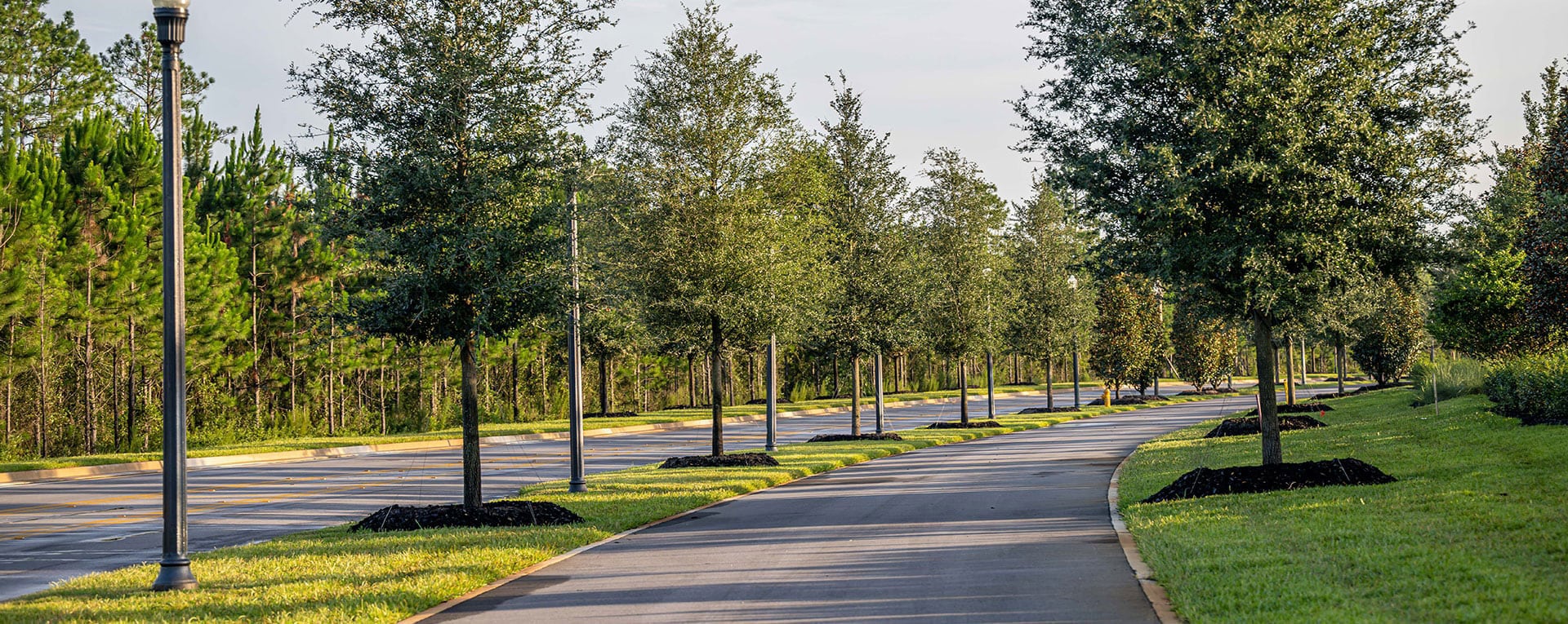 Get a Quote photo of tree-lined street
